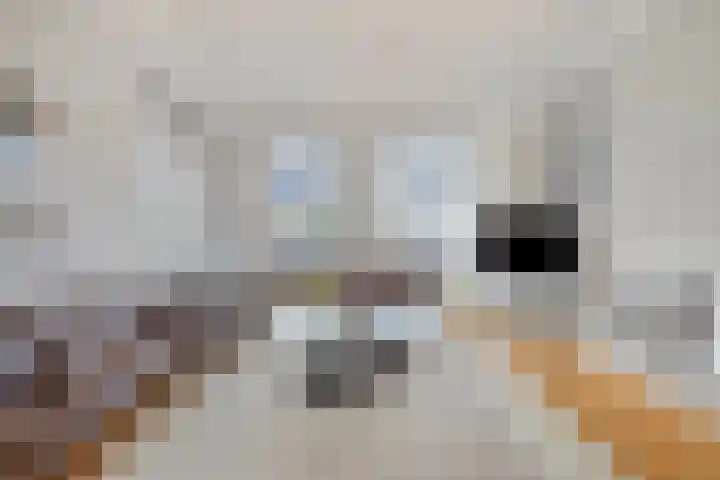 Wederikdreef 2 A Nuenen foto 3