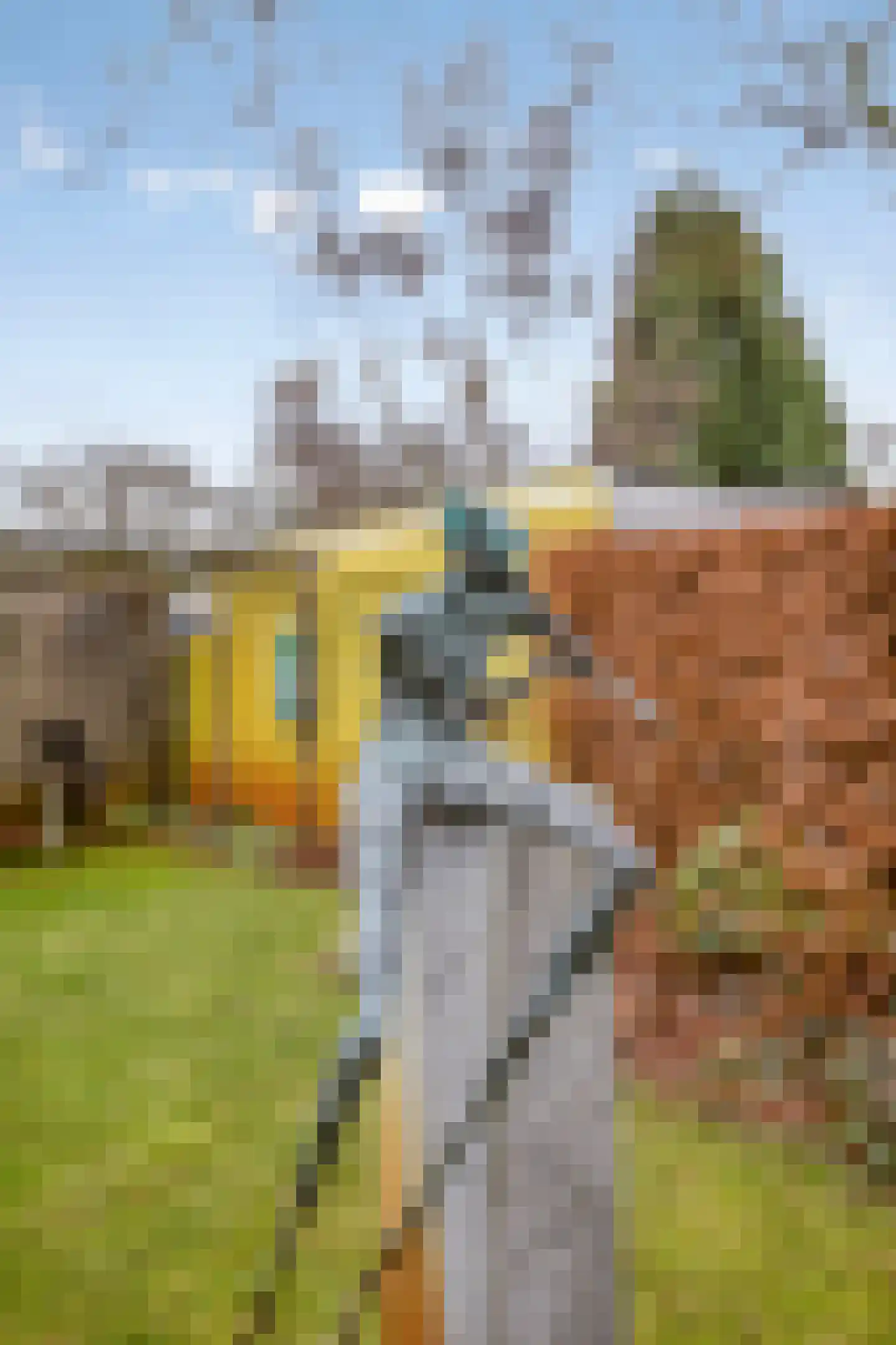 Wederikdreef 2 A Nuenen thumbnail 41