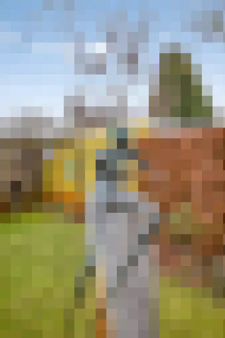 Wederikdreef 2 A Nuenen thumbnail 41