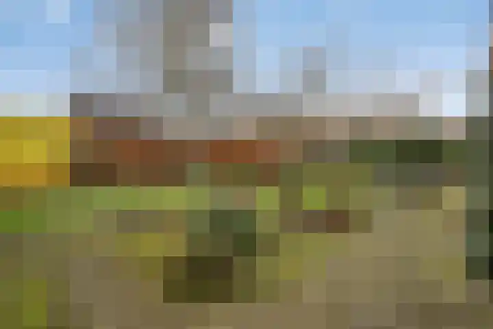 Wederikdreef 2 A Nuenen thumbnail 42