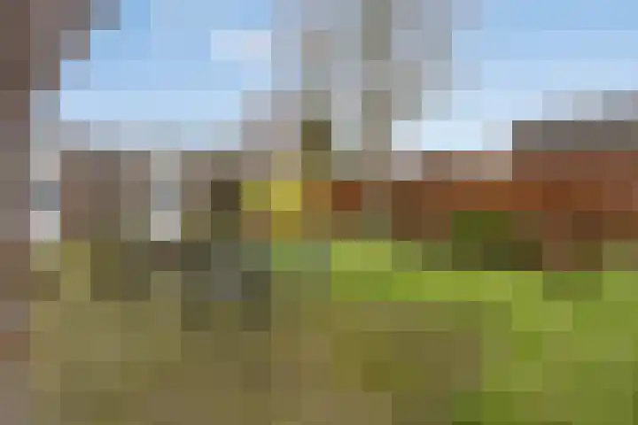 Wederikdreef 2 A Nuenen thumbnail 44