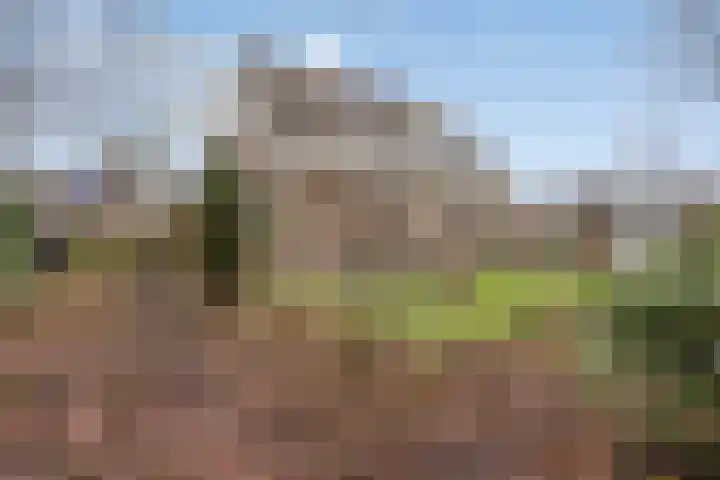 Wederikdreef 2 A Nuenen thumbnail 45