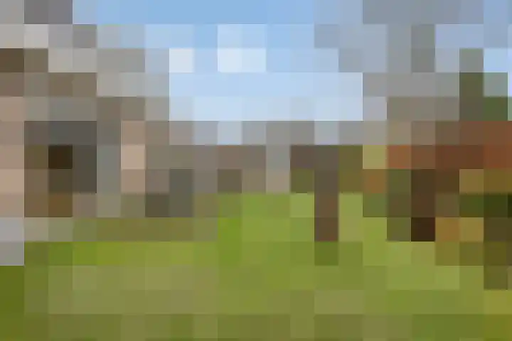 Wederikdreef 2 A Nuenen thumbnail 46