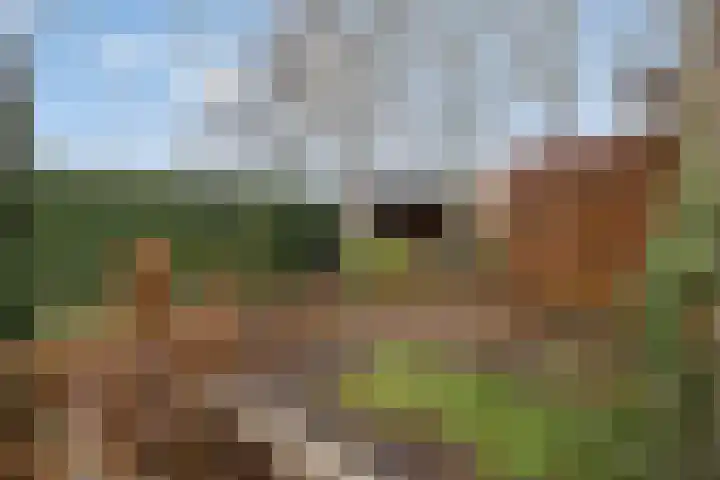 Wederikdreef 2 A Nuenen thumbnail 47