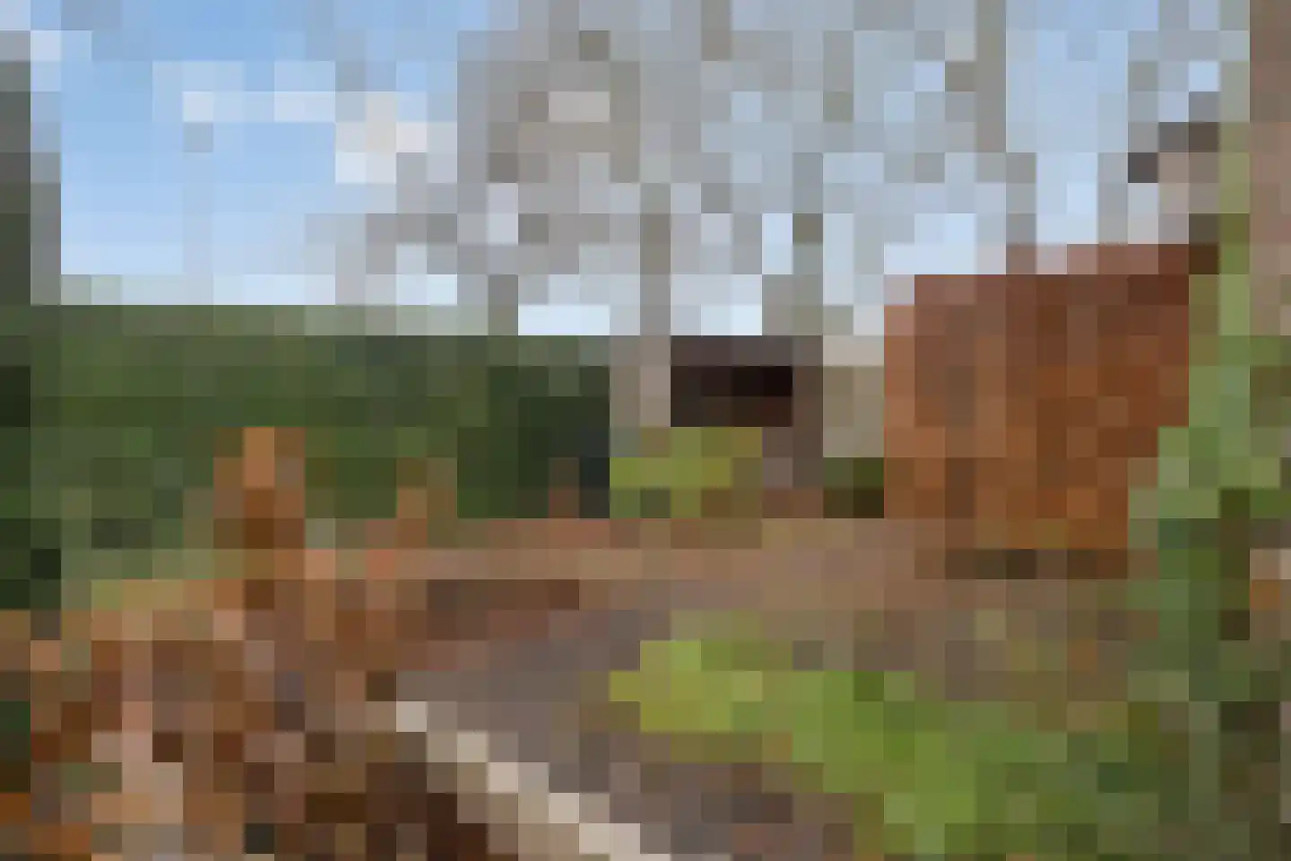 Wederikdreef 2 A Nuenen thumbnail 47