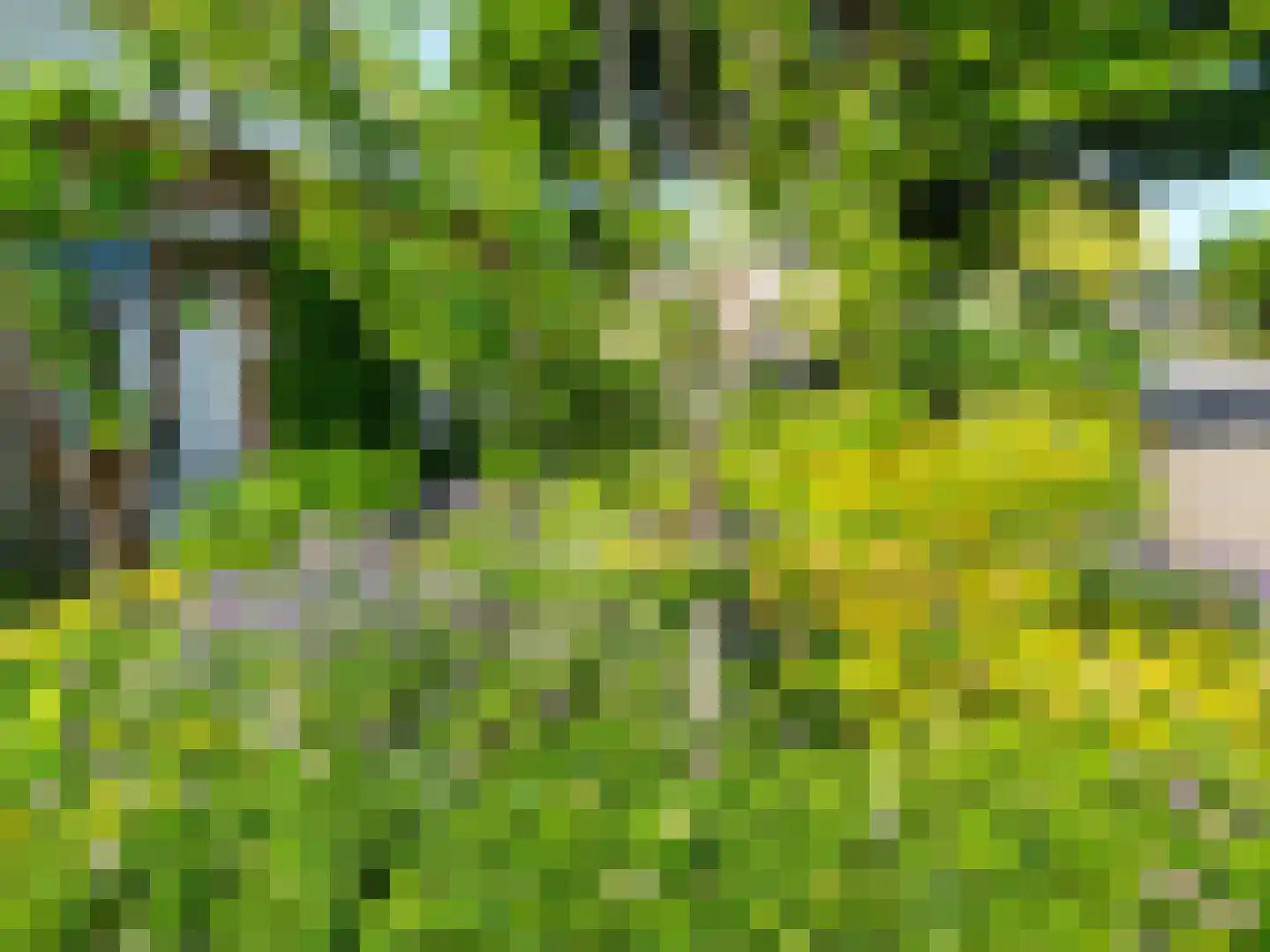 Wederikdreef 2 A Nuenen thumbnail 50