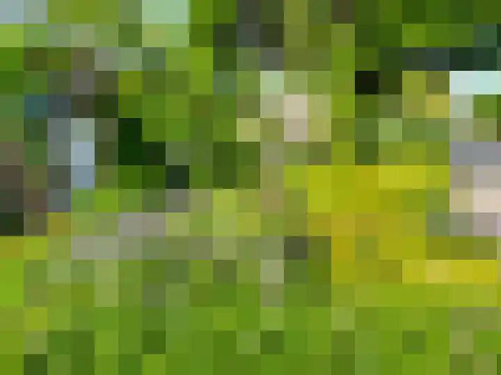 Wederikdreef 2 A Nuenen thumbnail 50