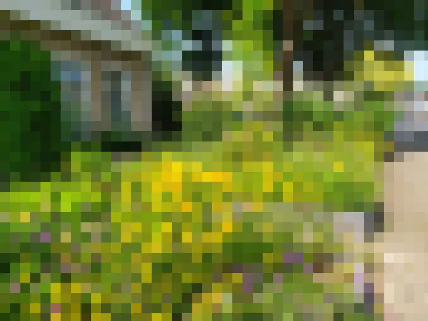 Wederikdreef 2 A Nuenen thumbnail 51
