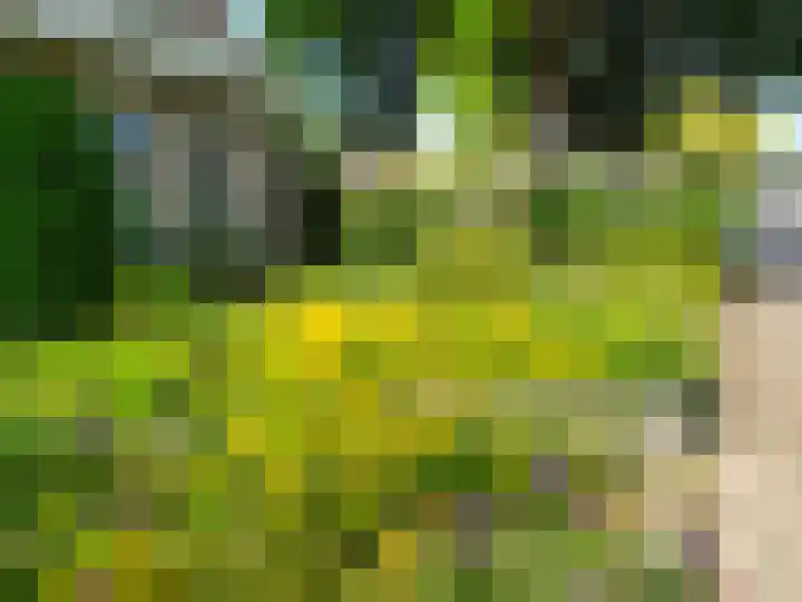 Wederikdreef 2 A Nuenen thumbnail 51