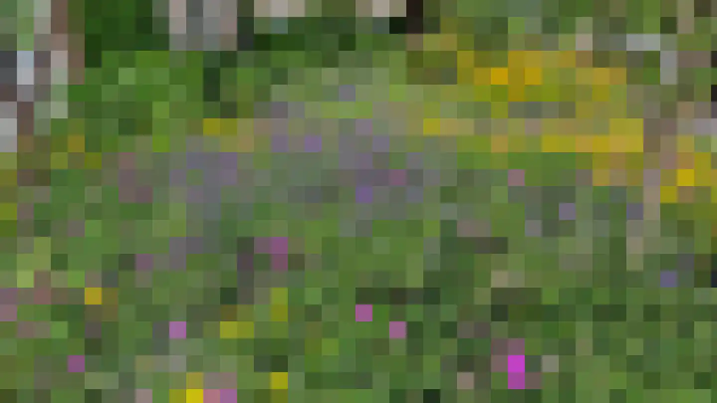 Wederikdreef 2 A Nuenen thumbnail 52
