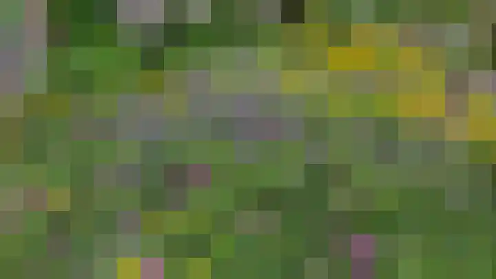 Wederikdreef 2 A Nuenen thumbnail 52