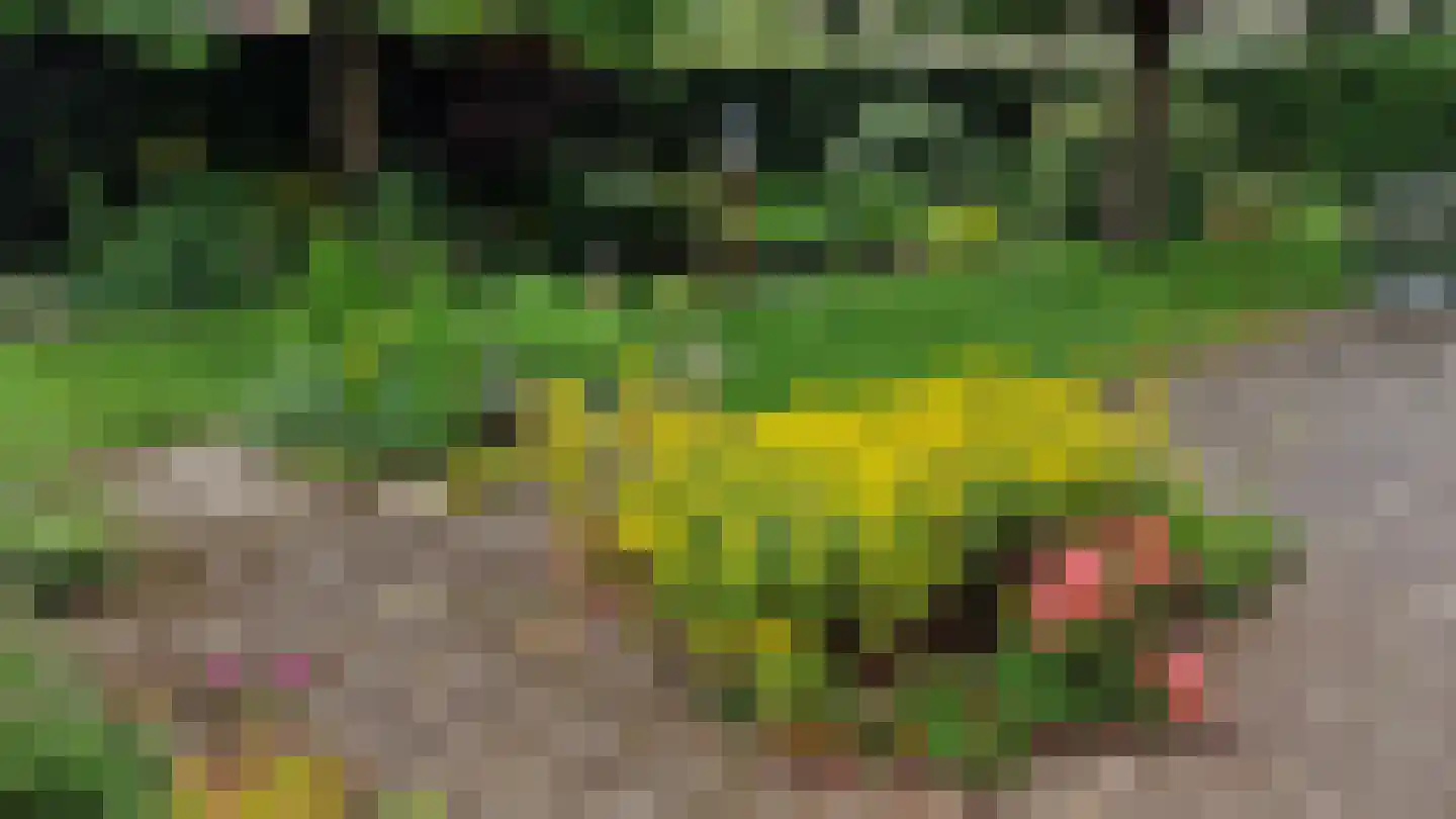 Wederikdreef 2 A Nuenen thumbnail 53