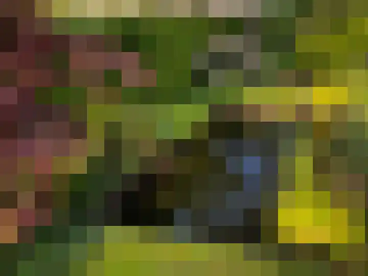 Wederikdreef 2 A Nuenen thumbnail 54