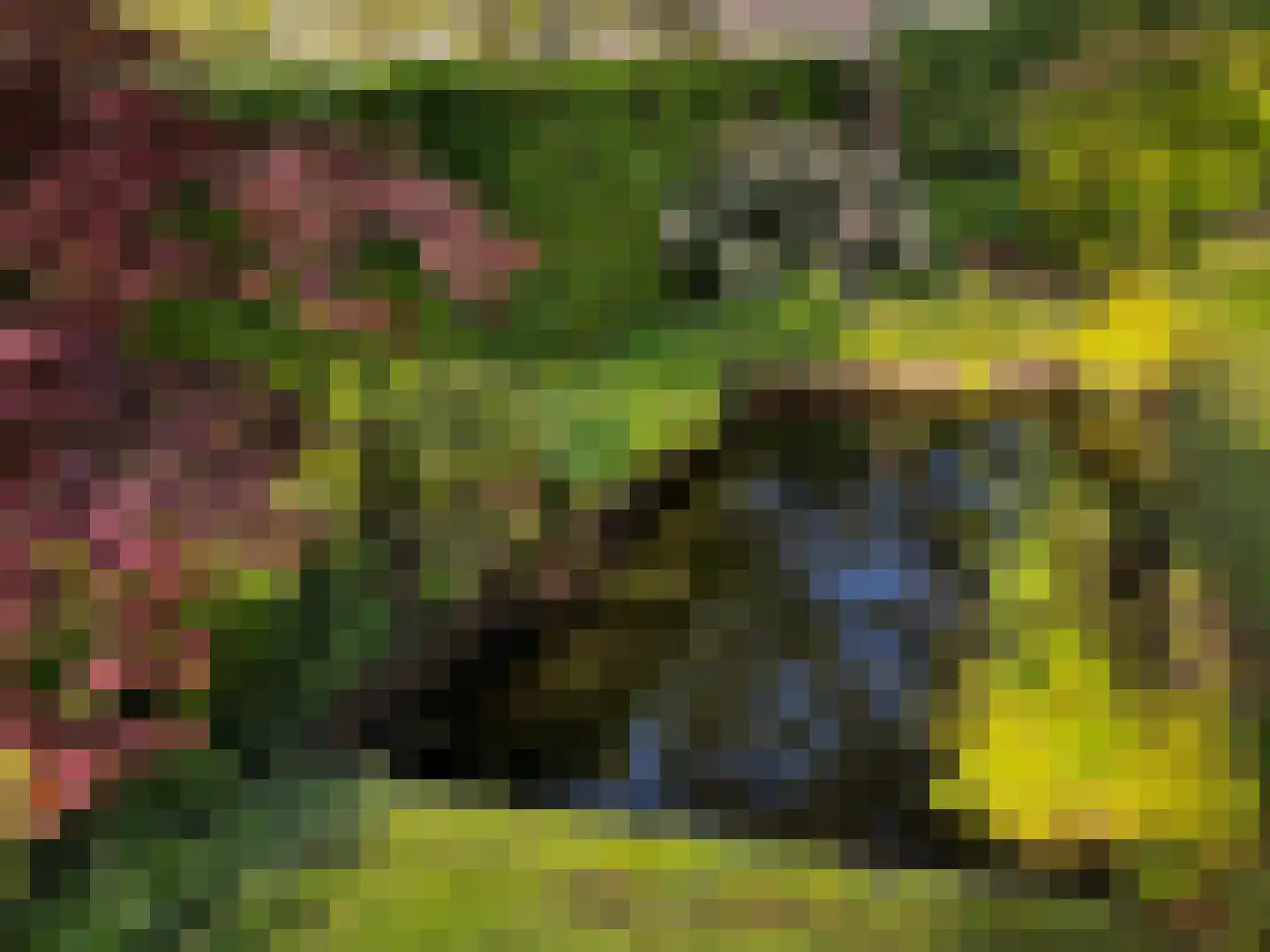 Wederikdreef 2 A Nuenen thumbnail 54
