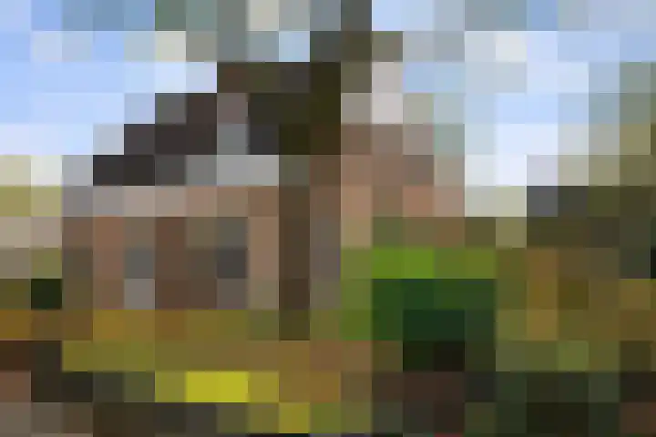 Wederikdreef 2 A Nuenen thumbnail 6