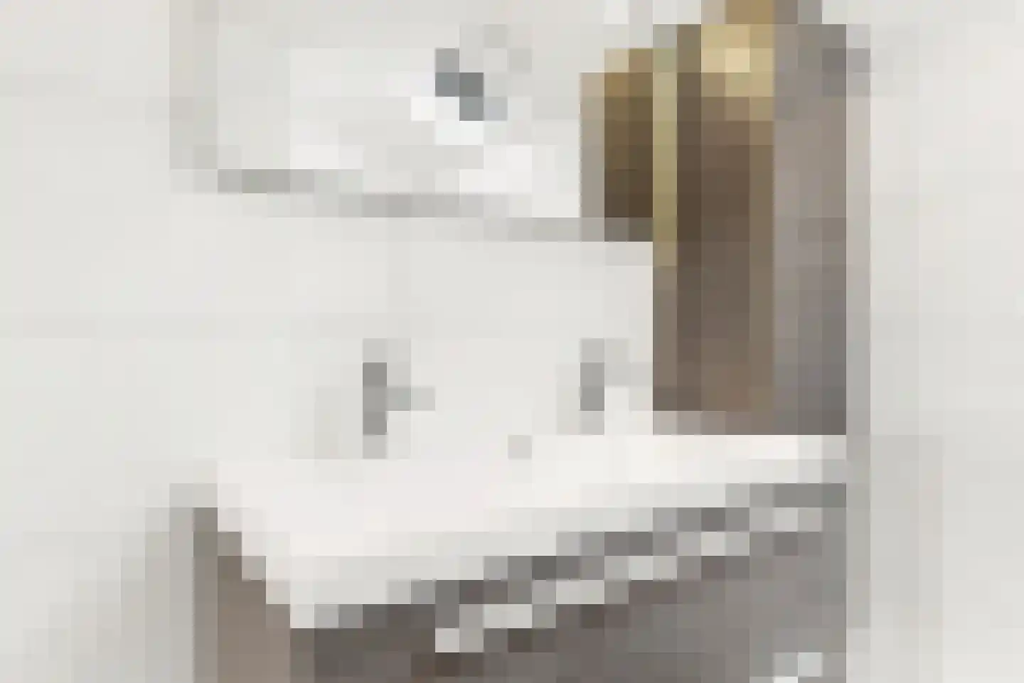 Wederikkreek 25 Leiderdorp thumbnail 21