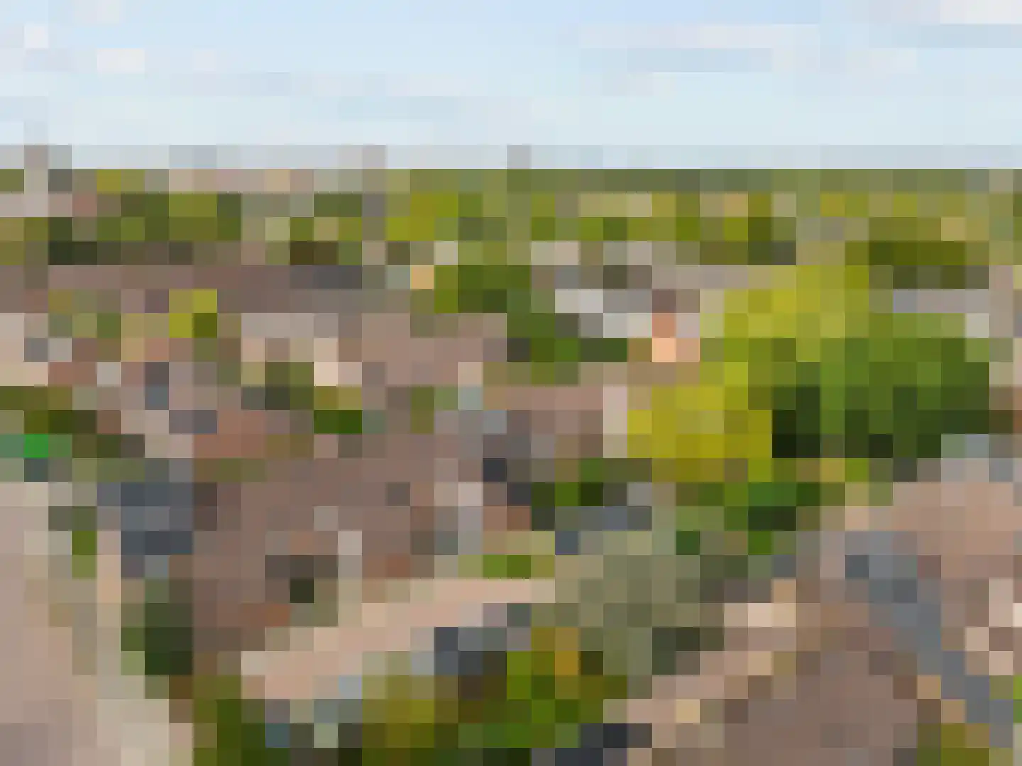 Wederikkreek 25 Leiderdorp thumbnail 5