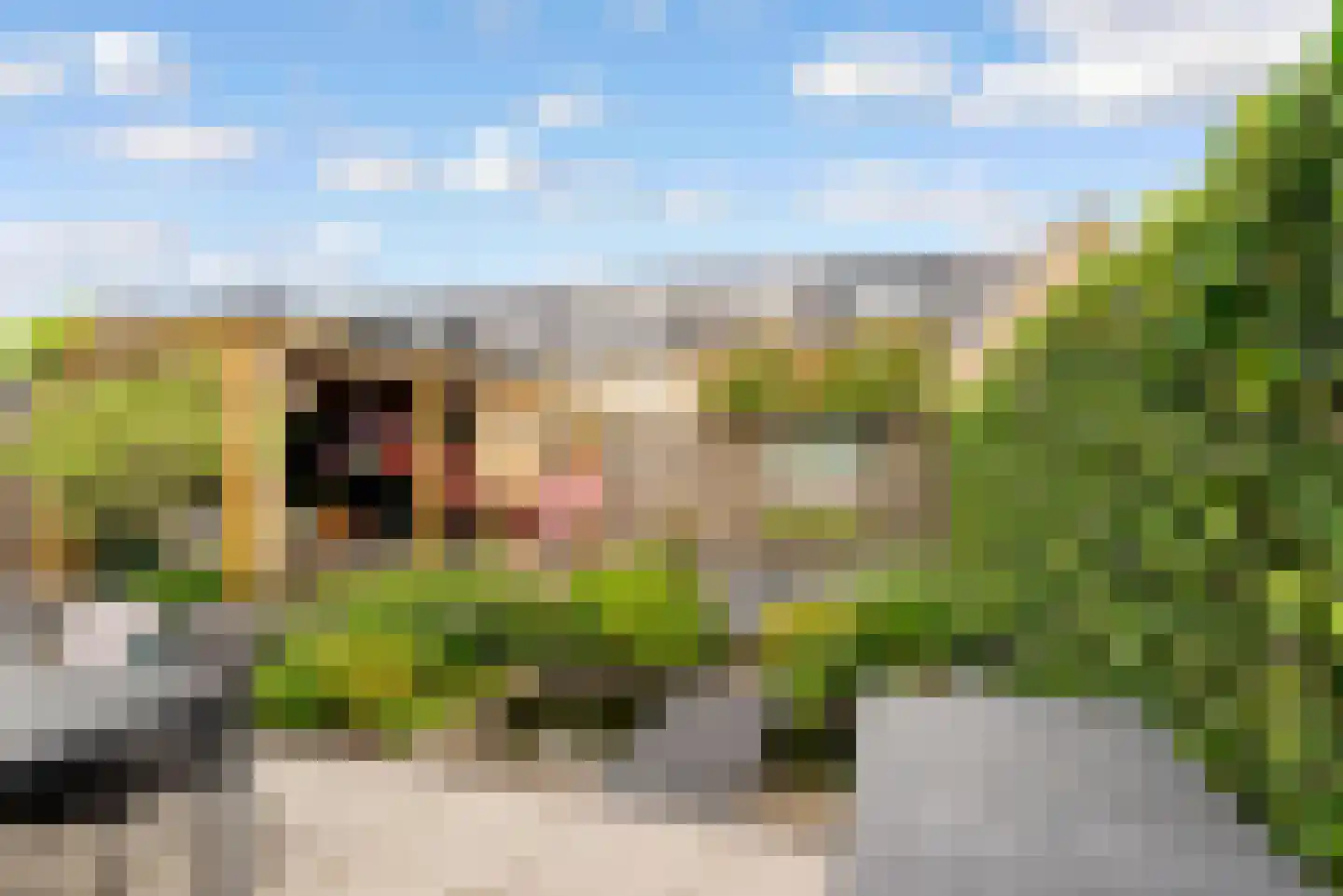 Wederiklaan 102 Lelystad thumbnail 33