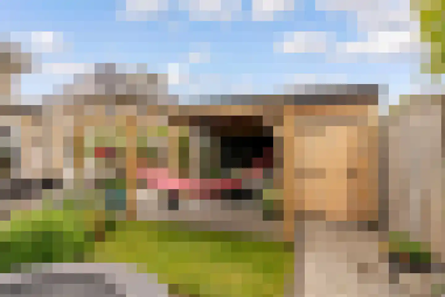 Wederiklaan 102 Lelystad thumbnail 39