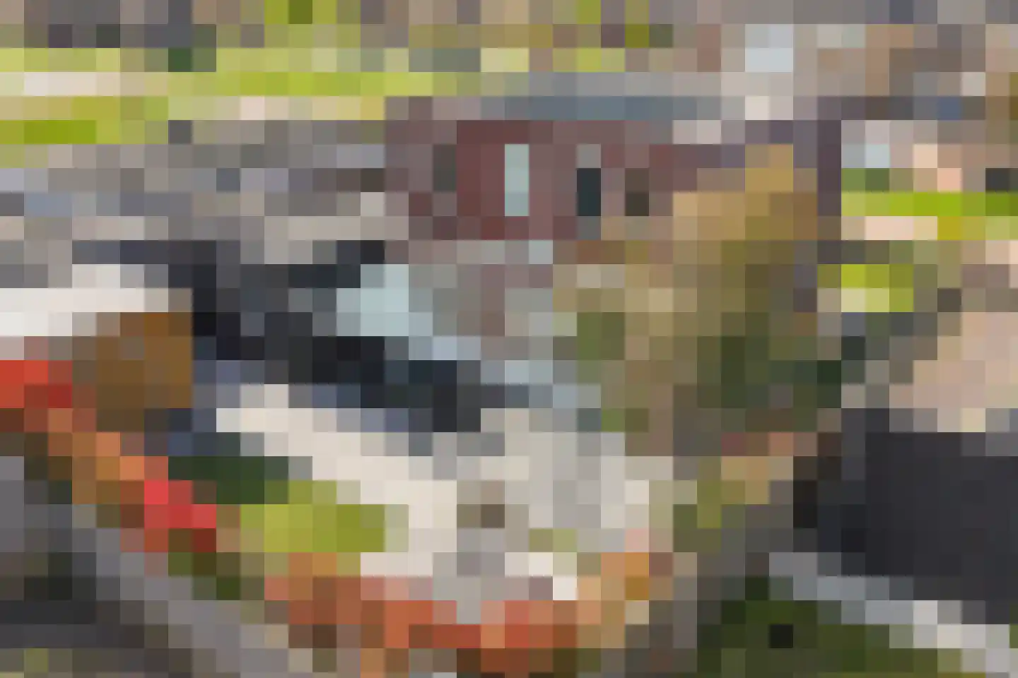 Wederiklaan 109 Lelystad thumbnail 37