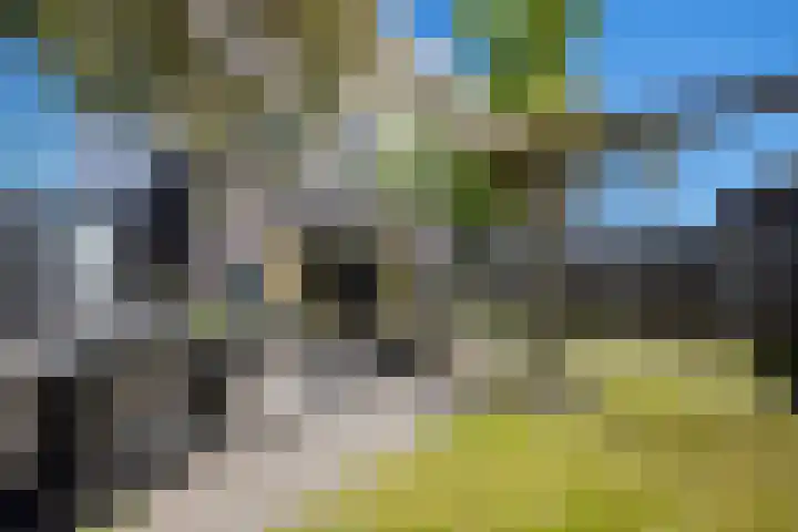 Wederiklaan 15 Lelystad thumbnail 12
