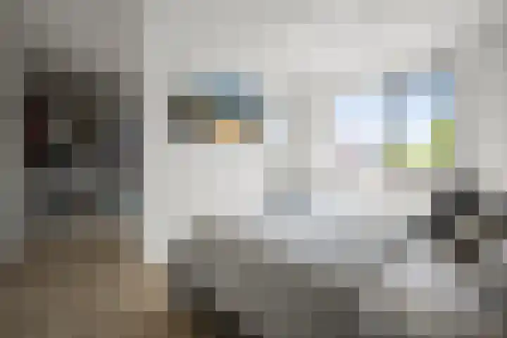 Wederiklaan 15 Lelystad thumbnail 14