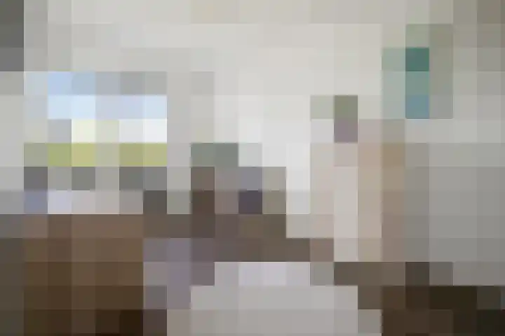 Wederiklaan 15 Lelystad thumbnail 17