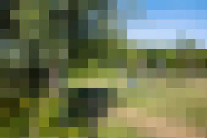 Wederiklaan 15 Lelystad thumbnail 35
