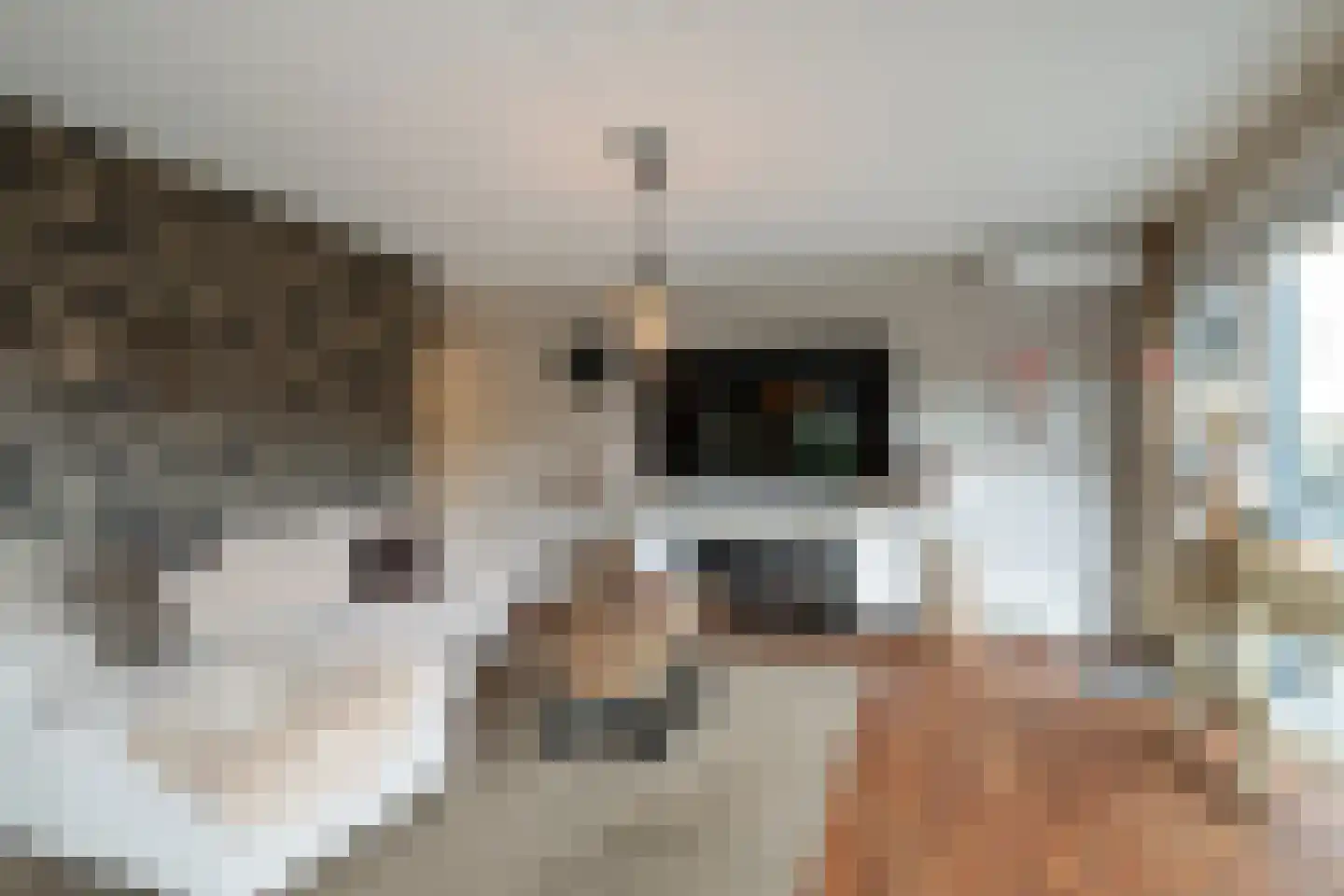 Wederiklaan 20 Enschede thumbnail 11