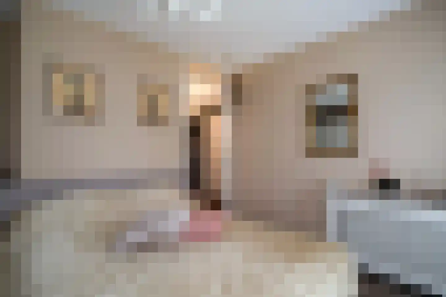 Wederiklaan 20 Enschede thumbnail 19