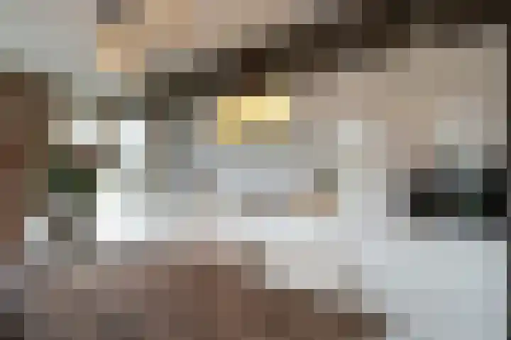 Wederiklaan 20 Enschede thumbnail 19
