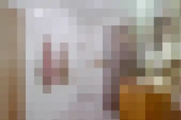 Wederiklaan 20 Enschede thumbnail 21