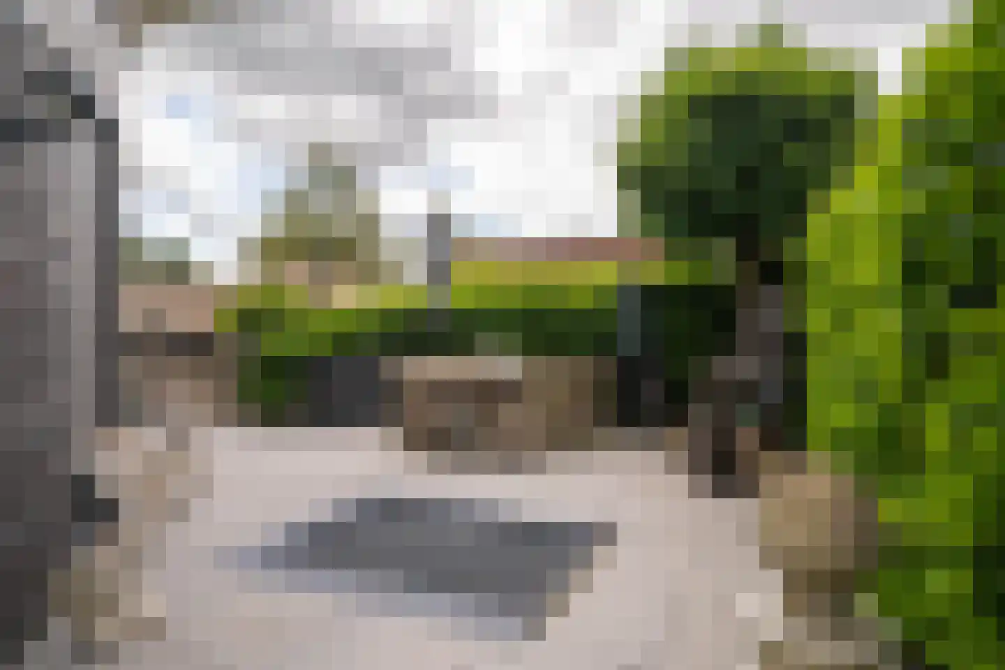 Wederiklaan 20 Enschede thumbnail 25