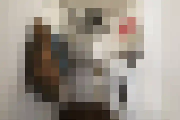 Wederiklaan 20 Enschede thumbnail 29