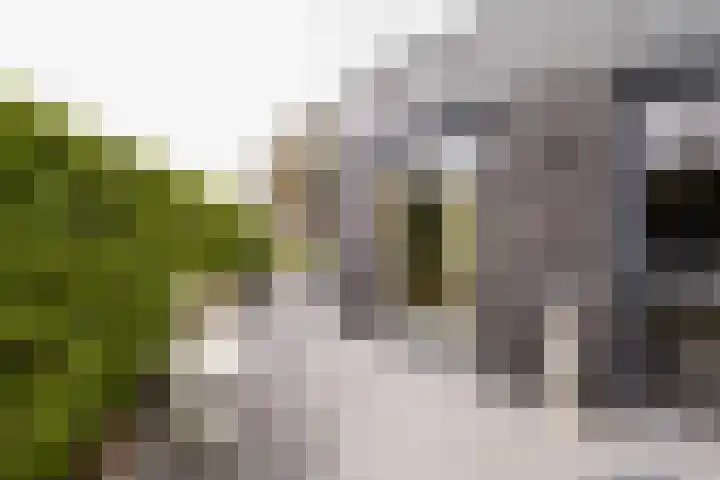 Wederiklaan 20 Enschede thumbnail 30