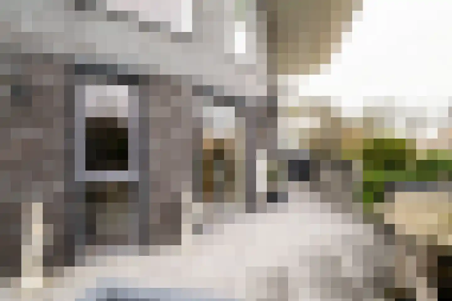 Wederiklaan 20 Enschede thumbnail 32