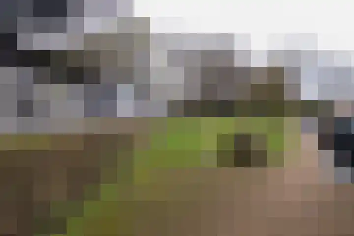 Wederiklaan 20 Enschede thumbnail 36