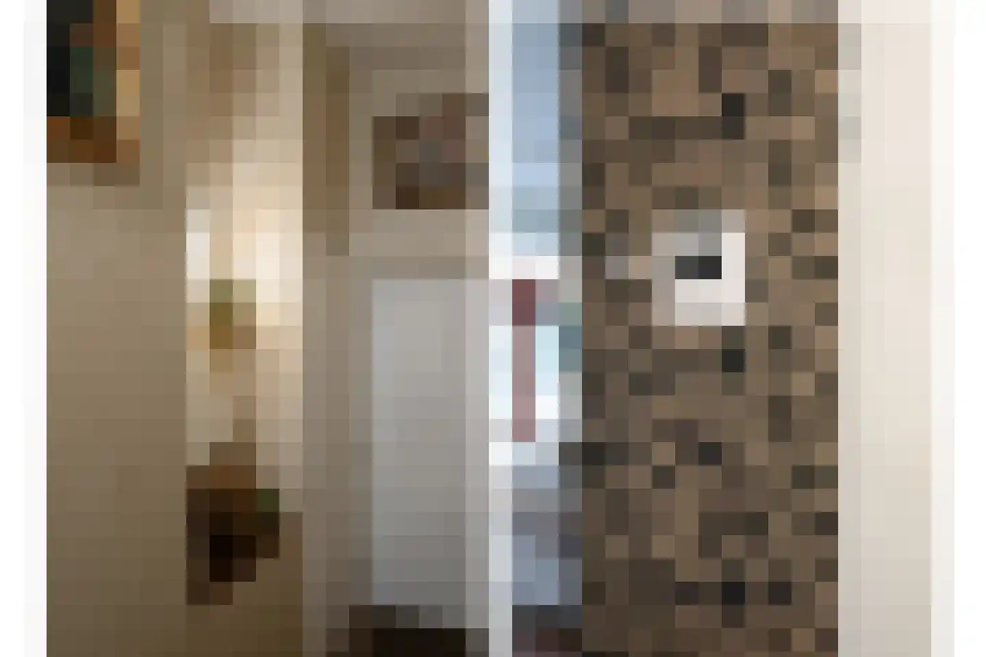 Wederiklaan 20 Enschede thumbnail 9