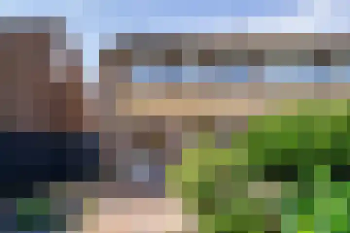 Wederiklaan 45 Kampen thumbnail 32
