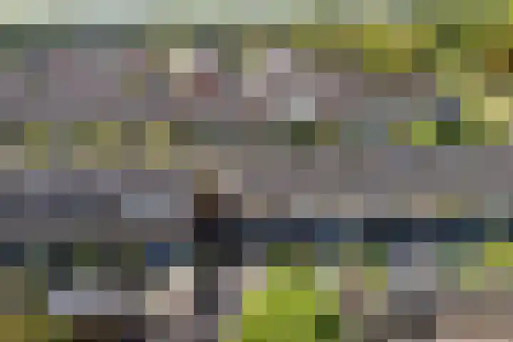 Wederiklaan 45 Kampen thumbnail 62