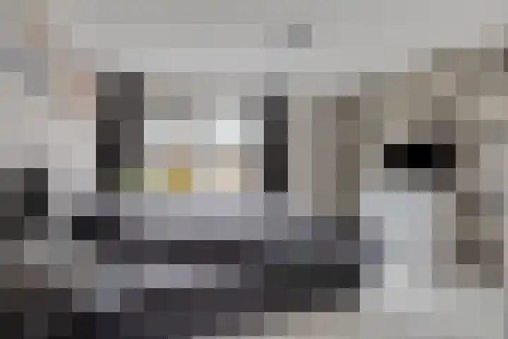 Wederiklaan 46 Kampen thumbnail 31