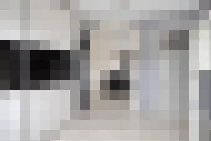 Wederiklaan 46 Kampen thumbnail 34