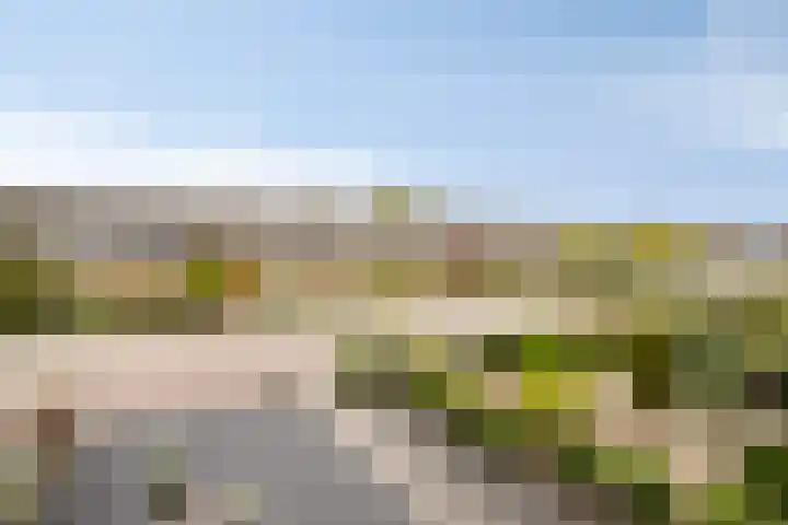 Wederiklaan 46 Kampen thumbnail 36