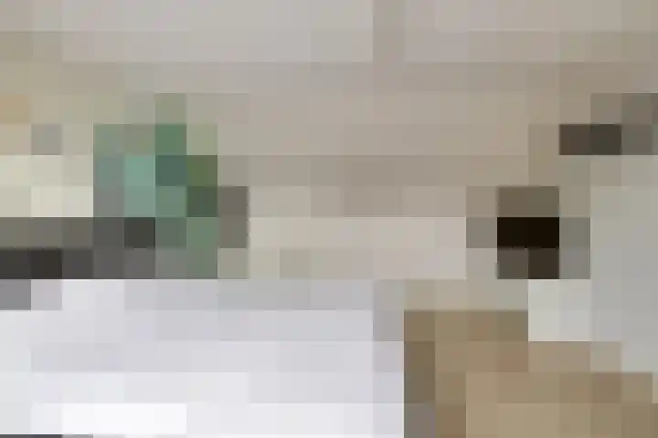 Wederiklaan 46 Kampen thumbnail 44