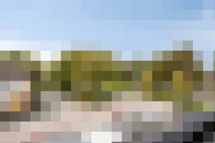 Wederiklaan 46 Kampen thumbnail 45