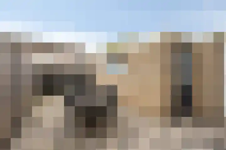 Wederiklaan 46 Kampen thumbnail 48