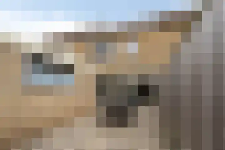 Wederiklaan 46 Kampen thumbnail 49