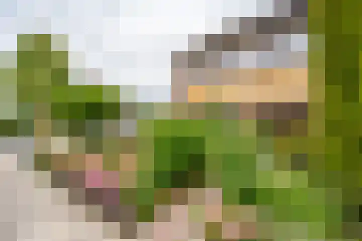 Wederiklaan 55 Kampen thumbnail 10