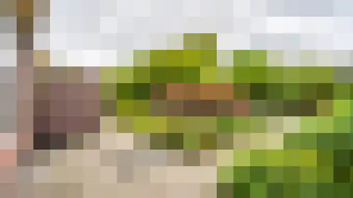 Wederiklaan 55 Kampen thumbnail 23