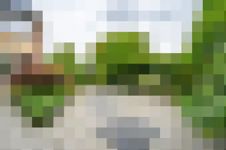 Wederiklaan 55 Kampen thumbnail 27